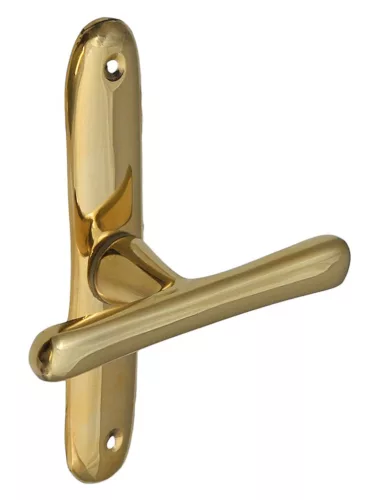 Stefania Alamă cu un scut turnat Fereastra in forma de T