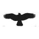 Ragadozó madár sziluettje 400x170mm matrica