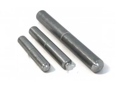 Gedrehtes Walnussscharnier, 20 x 120 mm, gebuchset, Sh.