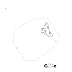 Röpsúly Csillag Láncfűrész Alk. G24C