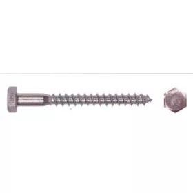 Gerüstschraube verzinkt 100 Stück/Box 10*50 mm