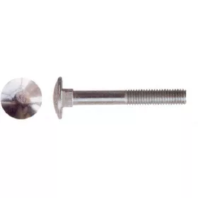Torscharnierschraube, verzinkt, 100 Stück/Box, 6 x 120 mm